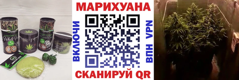 как найти наркотики Волосово Cannafood конопля