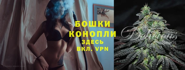 дживик Белоозёрский