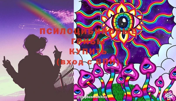 дживик Белоозёрский